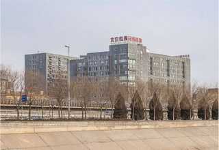 浙江省6211ZZNTN轴承基本参数